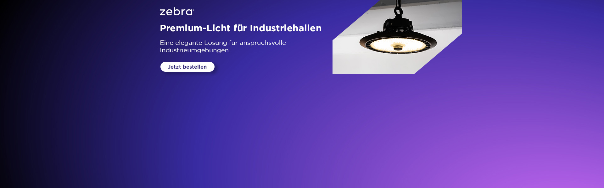 Zebra-0626-highbay-homepage-desktop-1920x600.jpg